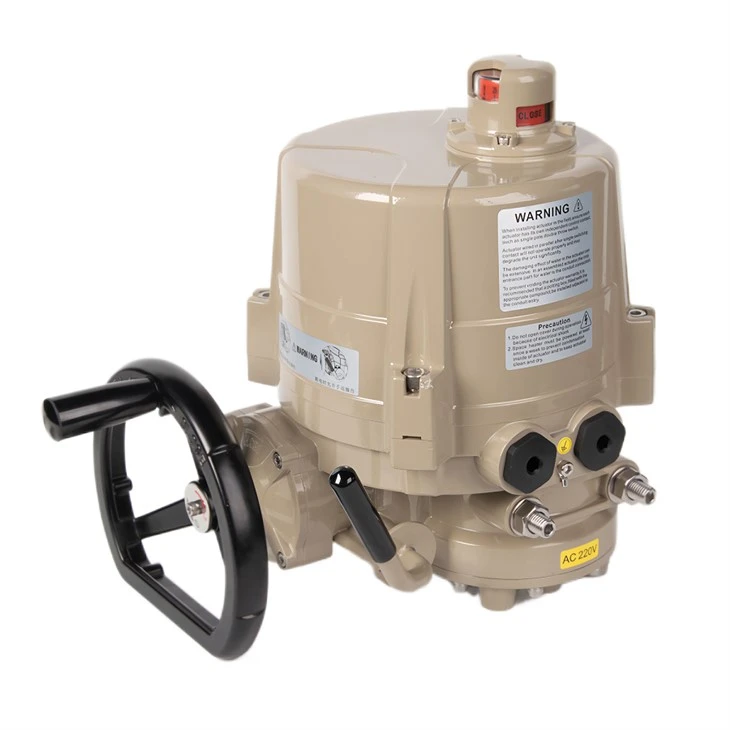 Linear motion electric Actuator